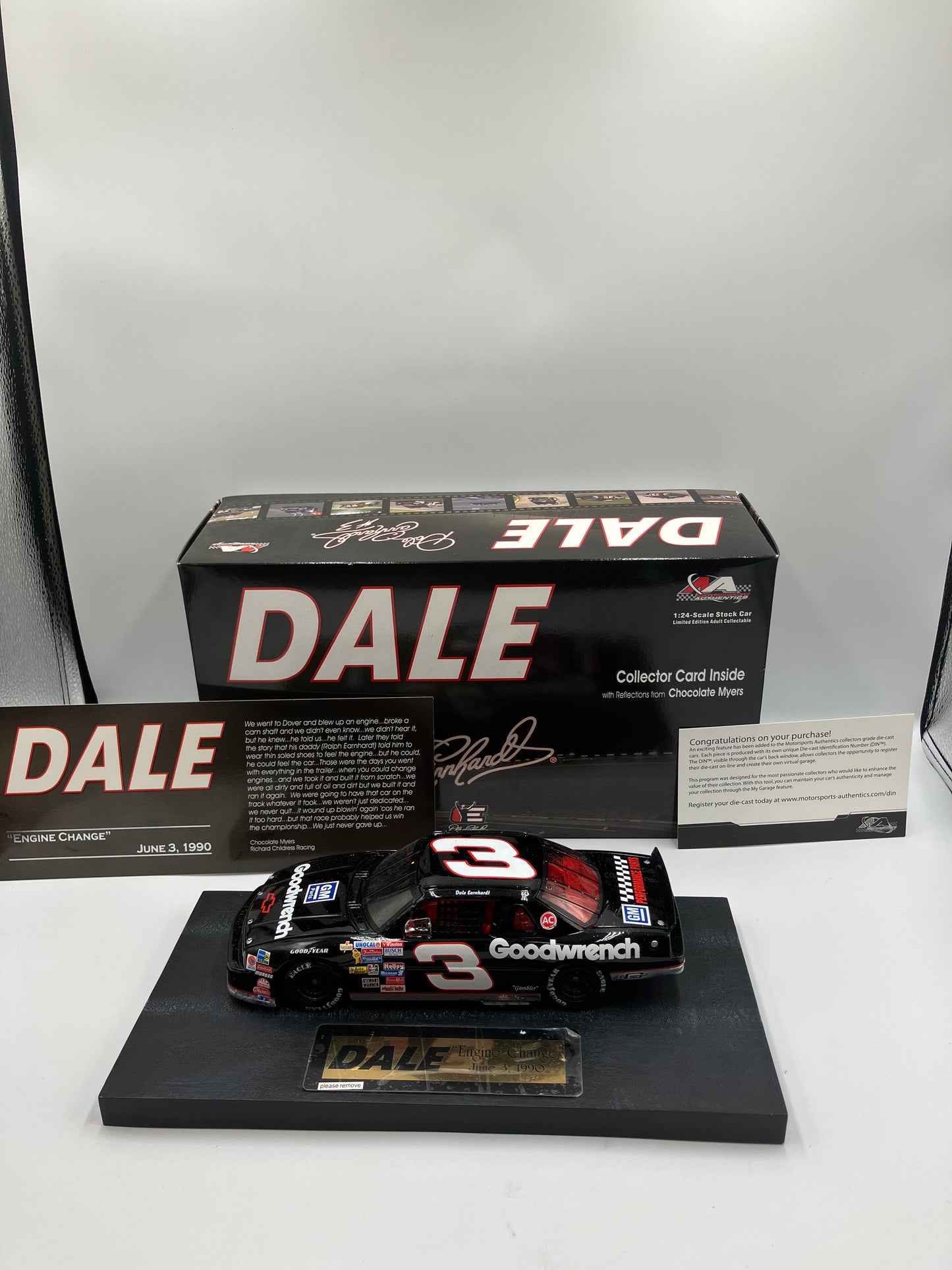 Dale nascar 1:24 scala (DALE3)